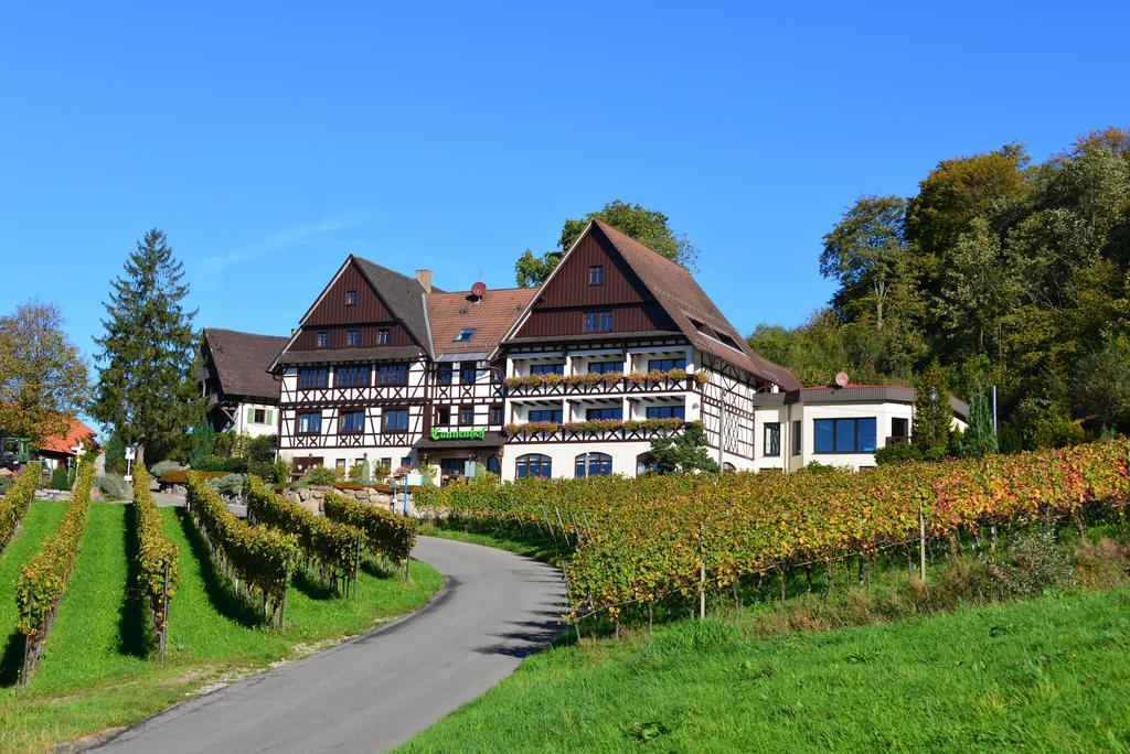 Relaxhotel Tannenhof Засбахвальден Экстерьер фото