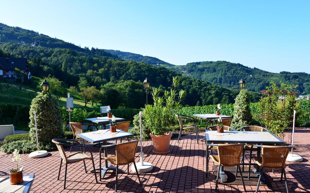 Relaxhotel Tannenhof Засбахвальден Экстерьер фото